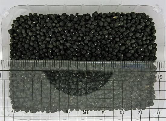 Amazon.co.jp: ギョウジャニンニク（行者ニンニク、アイヌネギ）の種